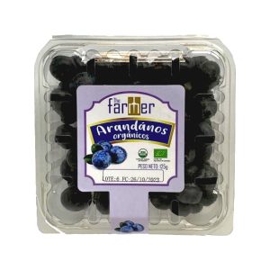 Arándanos en fresco x 125g