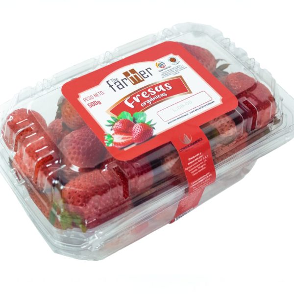 Fresas Orgánicas x 500g