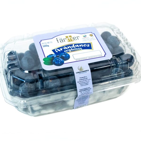 Arándanos Orgánicos x 500g