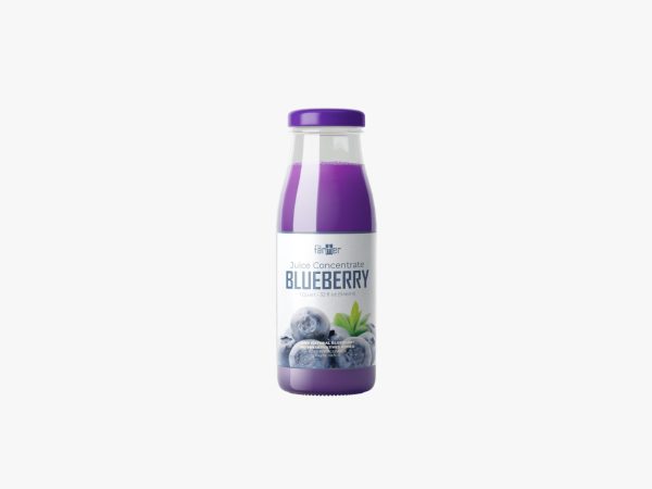 Jugo de arándanos x 400ml