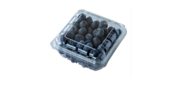 Arándanos x 125g