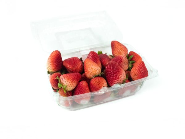 Fresas extra x 500g