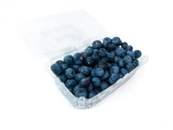 Arándanos x 500g