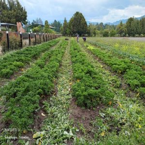 WhatsApp Image 2024-03-11 at 3.33.17 PM (1)