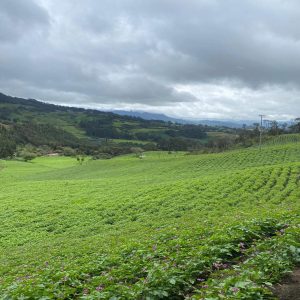 WhatsApp Image 2026-01-29 at 10.19.07 PM (1)