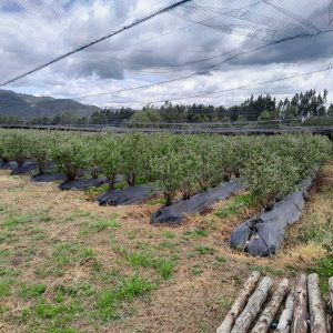 WhatsApp Image 2026-01-30 at 10.46.51 AM (1)