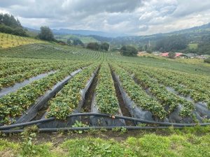 WhatsApp Image 2026-04-10 at 10.47.35 AM